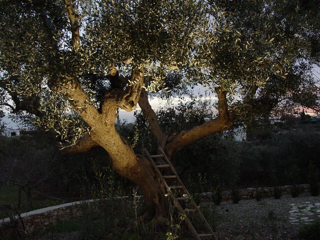 Trullo Sereno Angelo 로코로톤도 외부 사진
