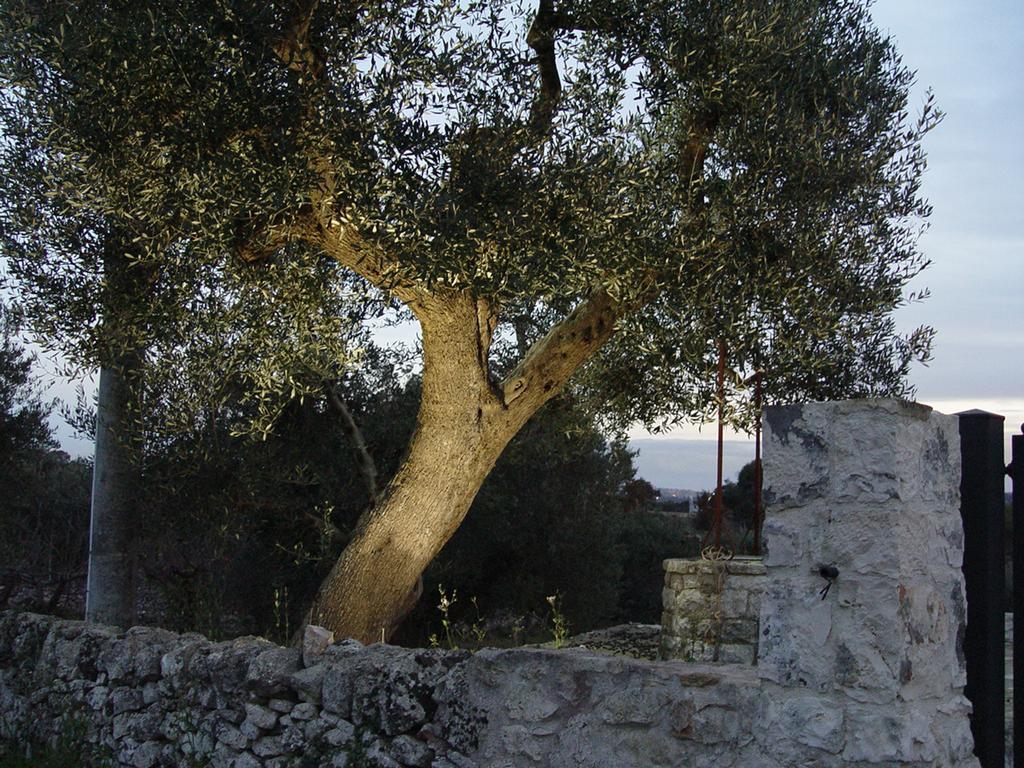 Trullo Sereno Angelo 로코로톤도 외부 사진